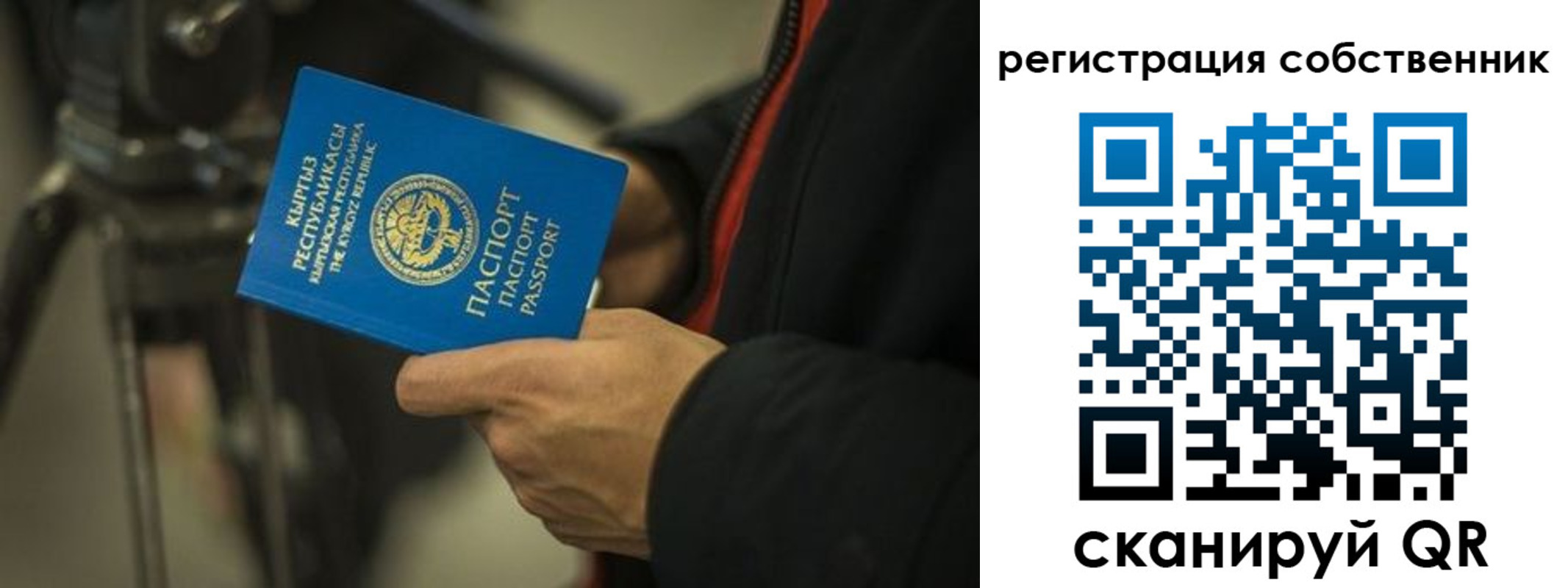 временная регистрация поиск в Апатитах
